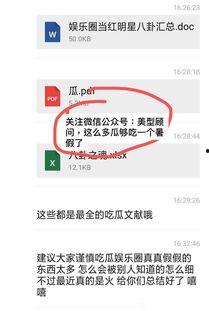 娱乐圈吃瓜pdf文件